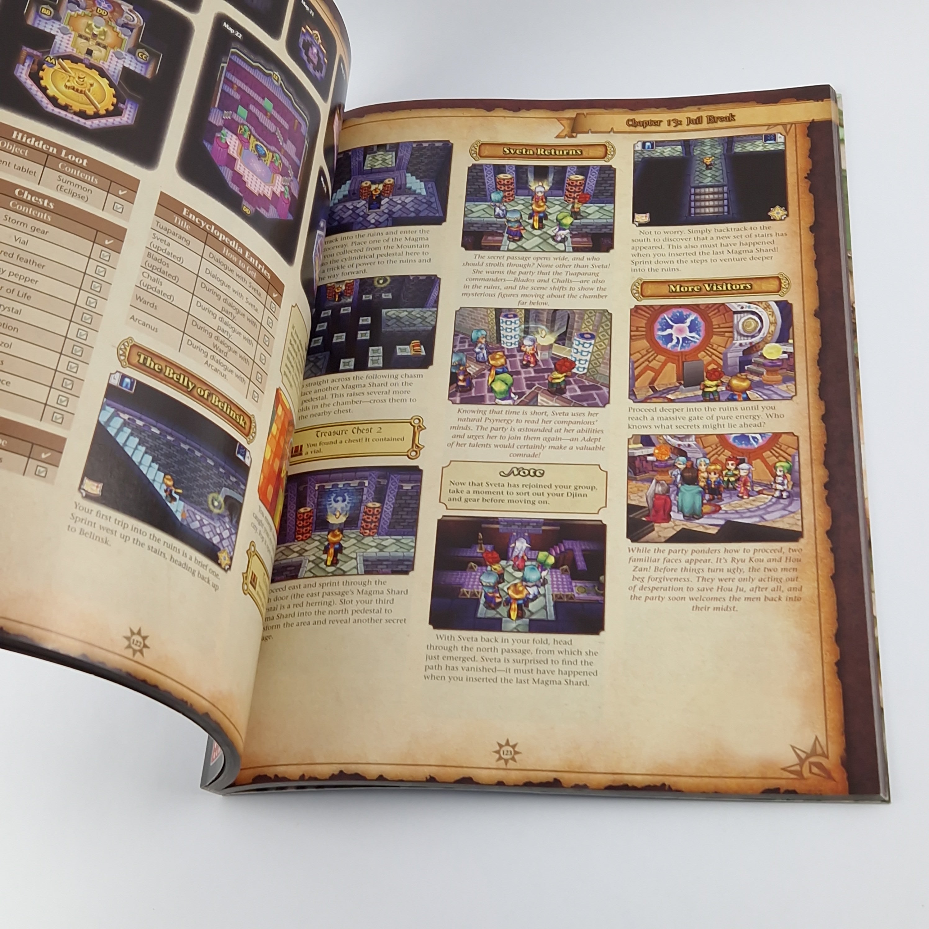 Nintendo DS Spiel – Golden Sun die dunkle Dämmerung Guide