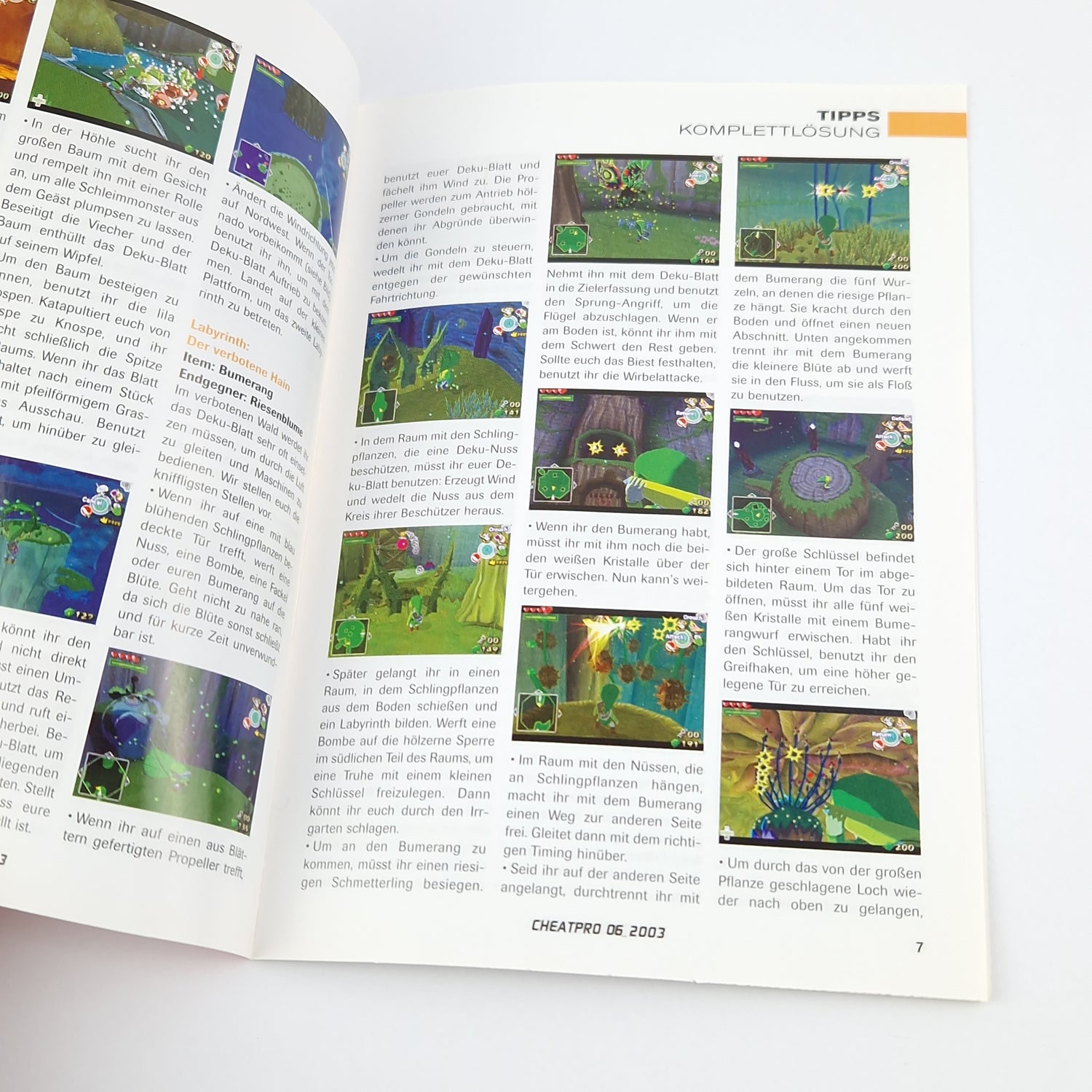 Nintendo Gamecube Spiel : Zelda The Windwaker Limitierte Auflage + Cheat Pro