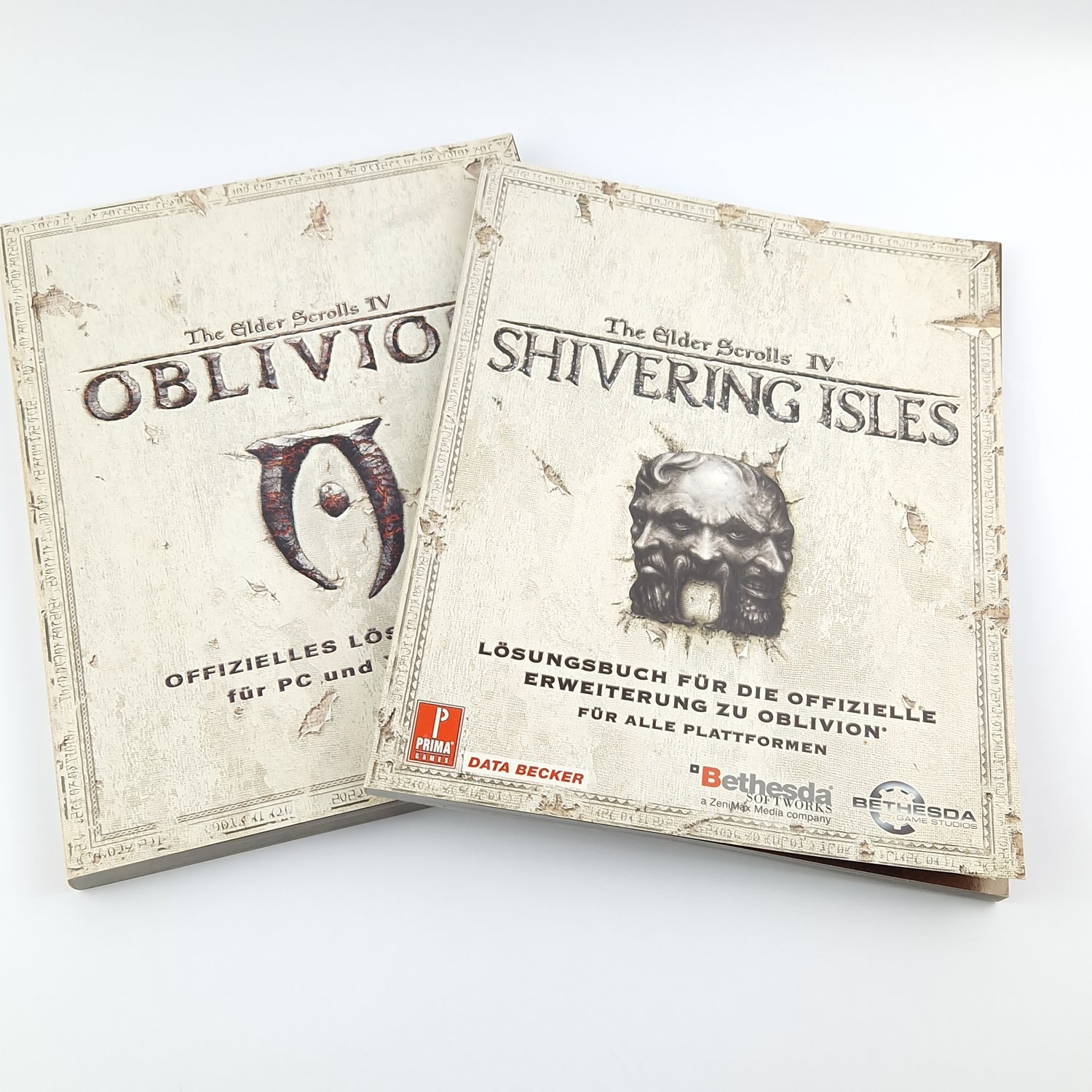 The Elder Scrolls IV Oblivion & Shivering Isles - Lösungsbuch / Spieleberater