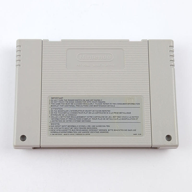 Super Nintendo Spiel : Donkey Kong Country 2 - Modul / Cartridge SNES PAL EUR
