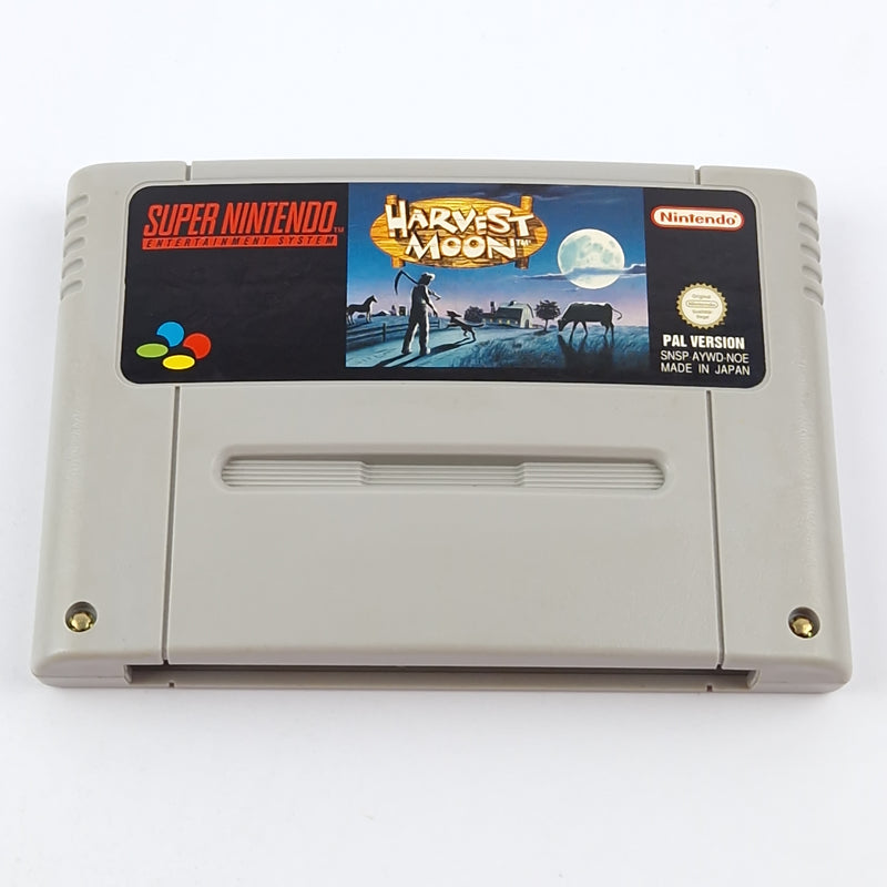 Super Nintendo Spiel : Harvest Moon - Modul / Cartridge SNES PAL NOE