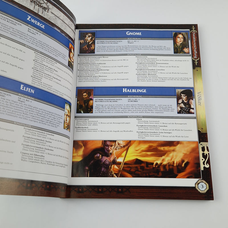 Future Press Versus Books: Neverwinter Nights Solution Book / Game Advisor PC