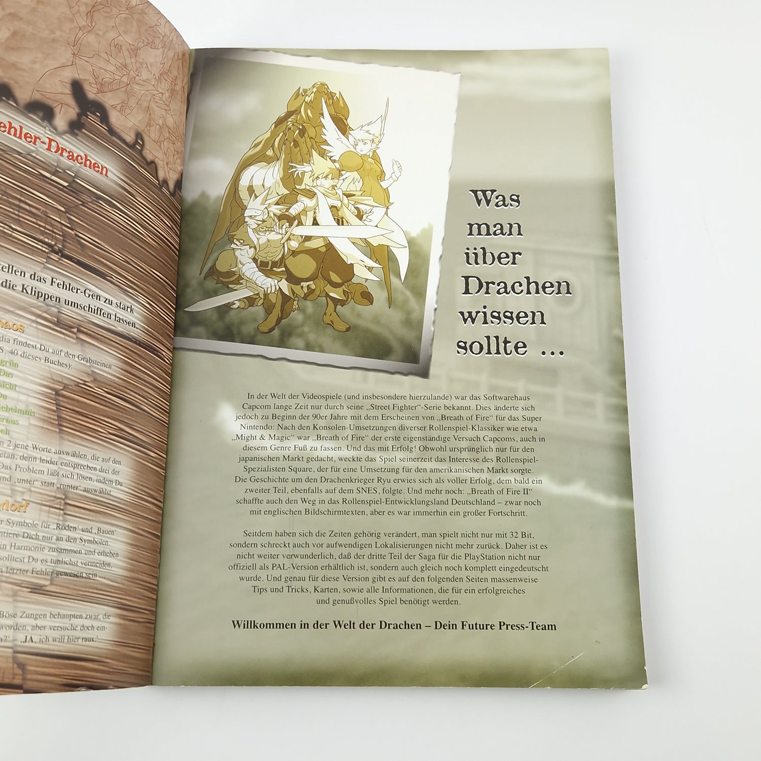 Future Press Lösungsbuch zu dem Spiel : Breath of Fire III - Spieleberater PS1