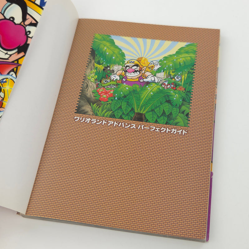 Nintendo Gameboy Advance Spieleberater : Warioland 4 - JAPAN Guide Book GBA [2]