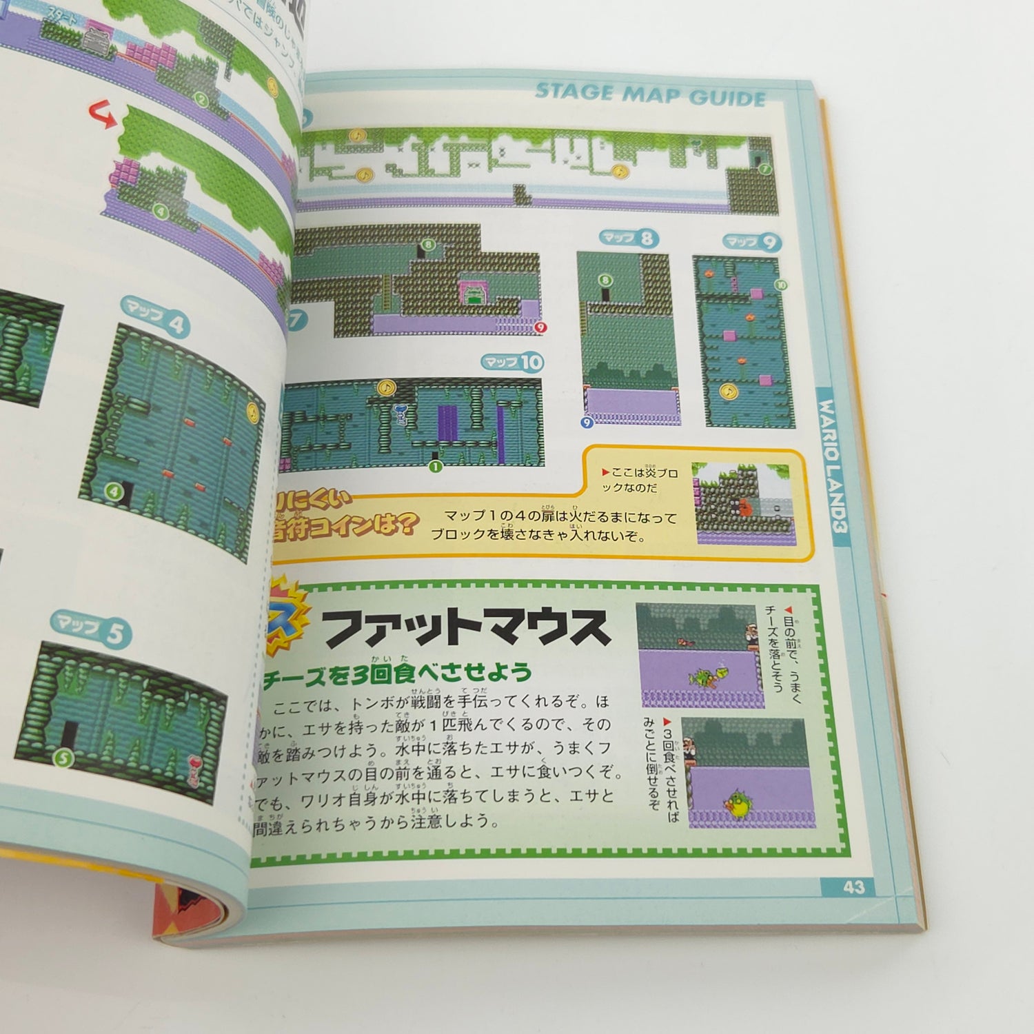 Nintendo Gameboy Color Spieleberater : Warioland 3 - JAPAN Guide Book GBC