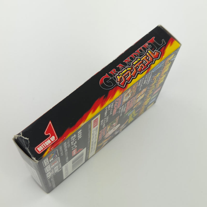 Nintendo Gameboy Color Spiel : Gran Duel: Shinki Dungeon no Hihou - JAPAN OVP
