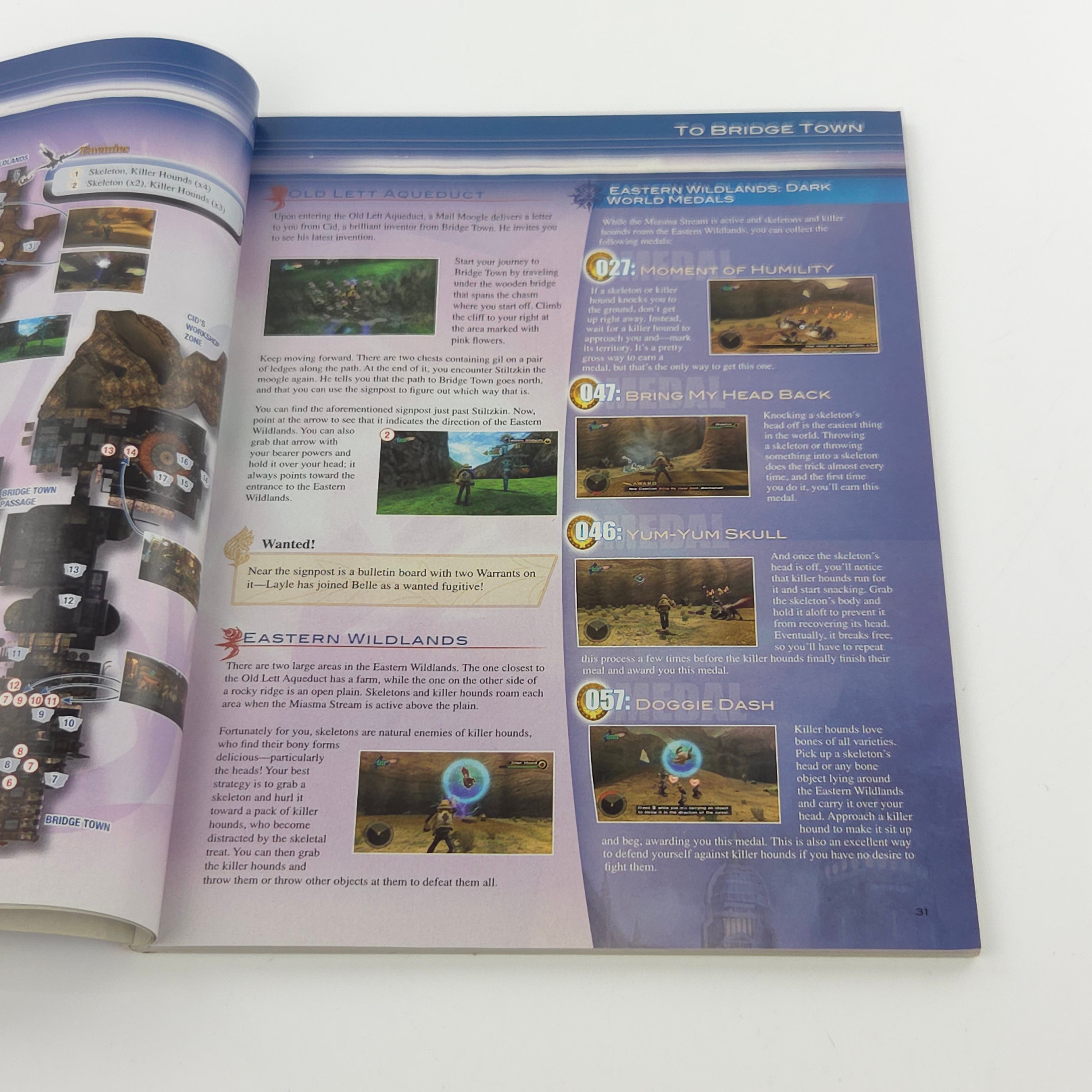 Wii Spiel – Final Fantasy Crystal Chronicles Guide Englisch