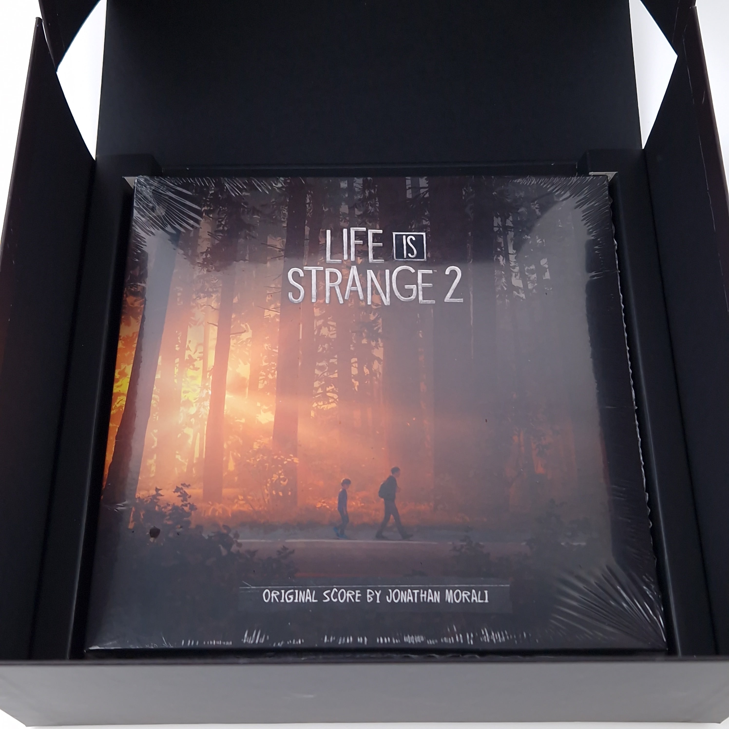 Playstation 4 Spiel – Life is Strange 2 Collectors Edition