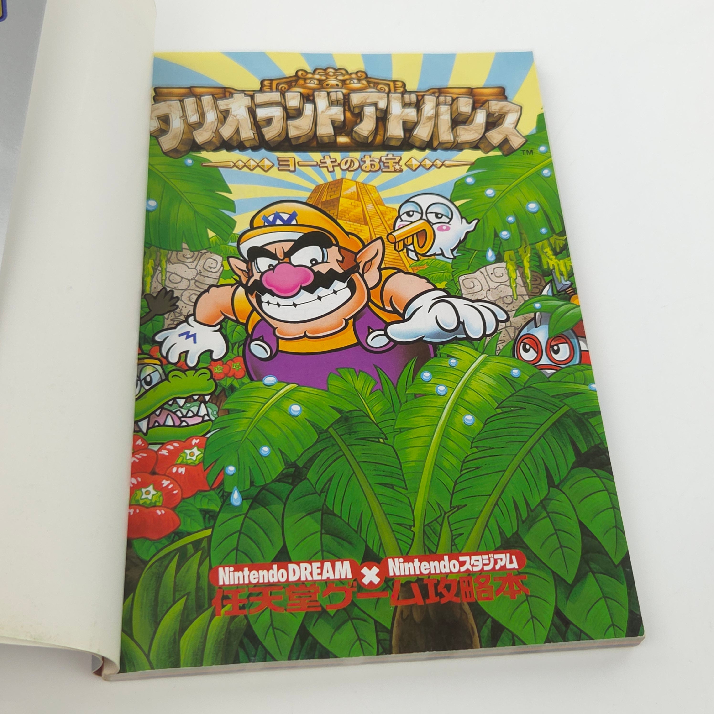 Gameboy Advance Spieleberater – Warioland 4 Japan Guide