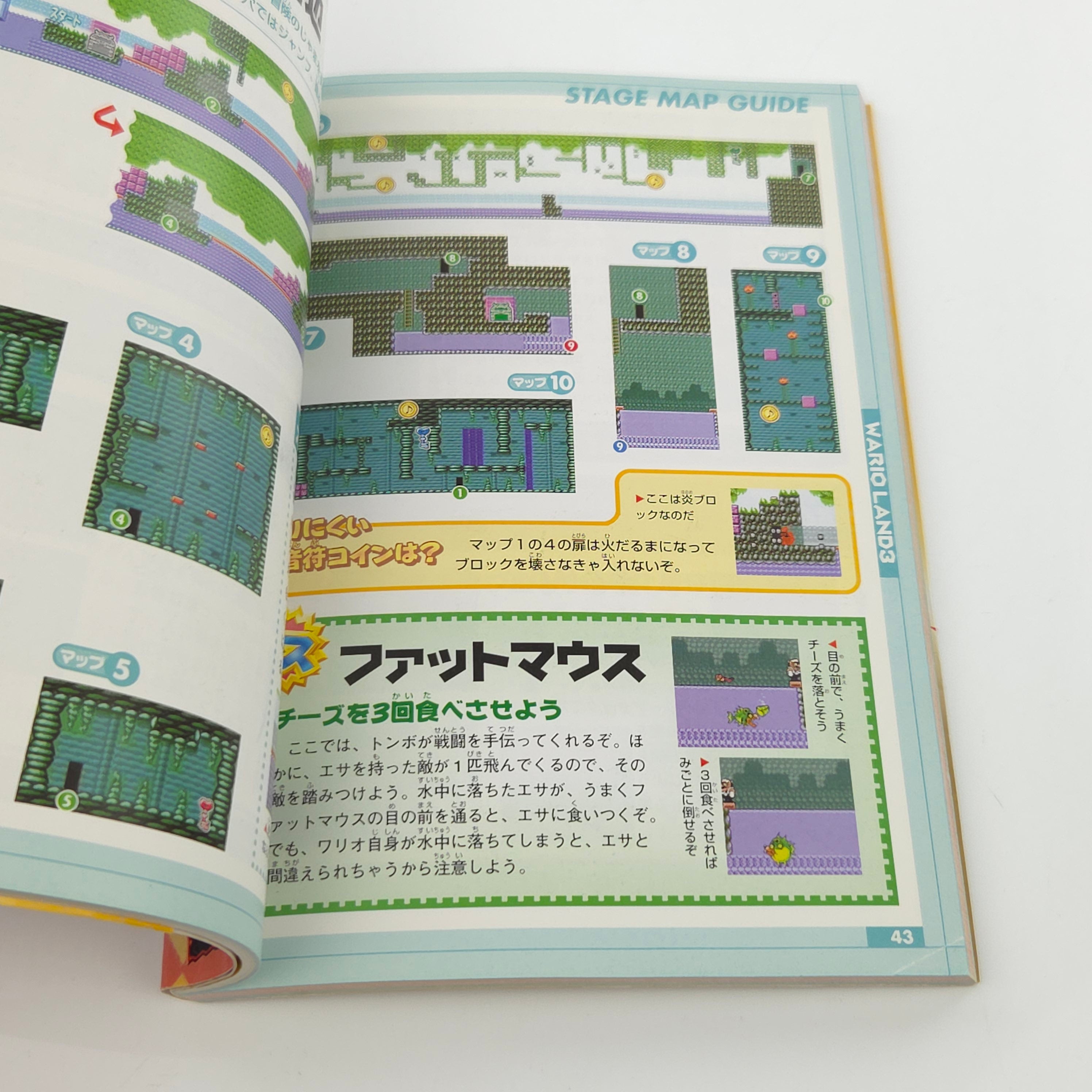 Nintendo Gameboy Color Spieleberater Warioland 3 Japan