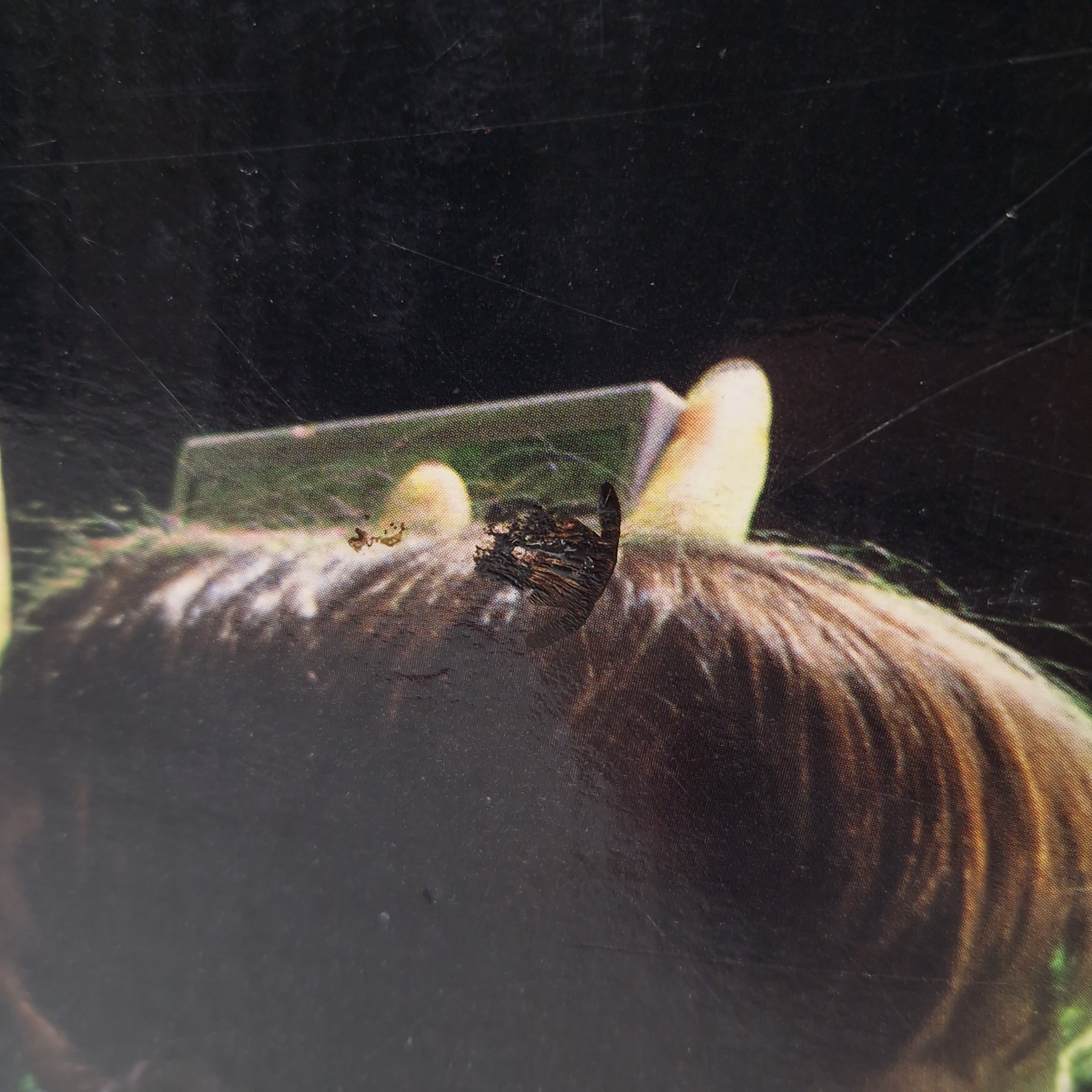 Nintendo NES Konsole Super Set 4 Player Bundle OVP PAL