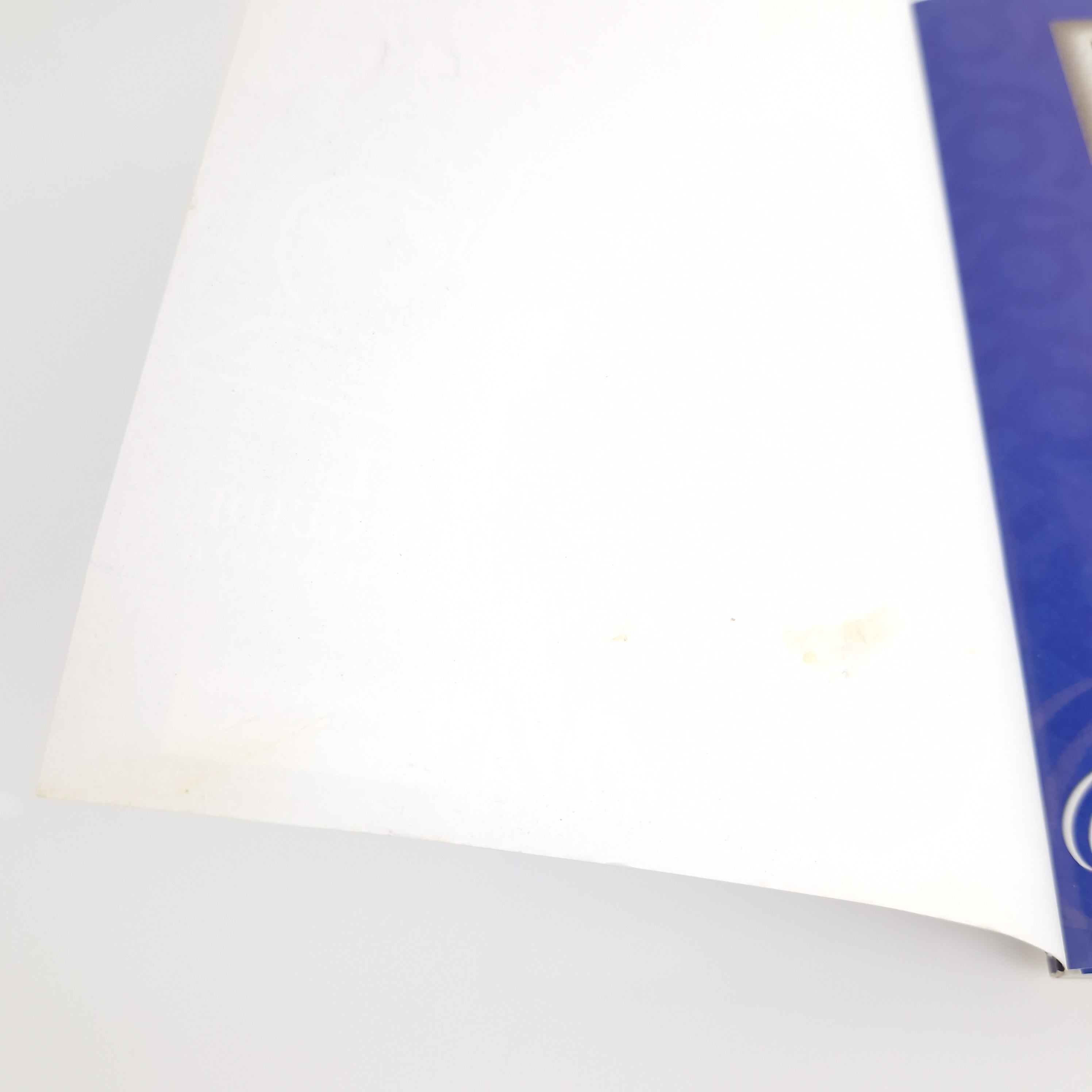 Playstation 1 Spiel – Alundra 2 mit Strategy Guide PS1