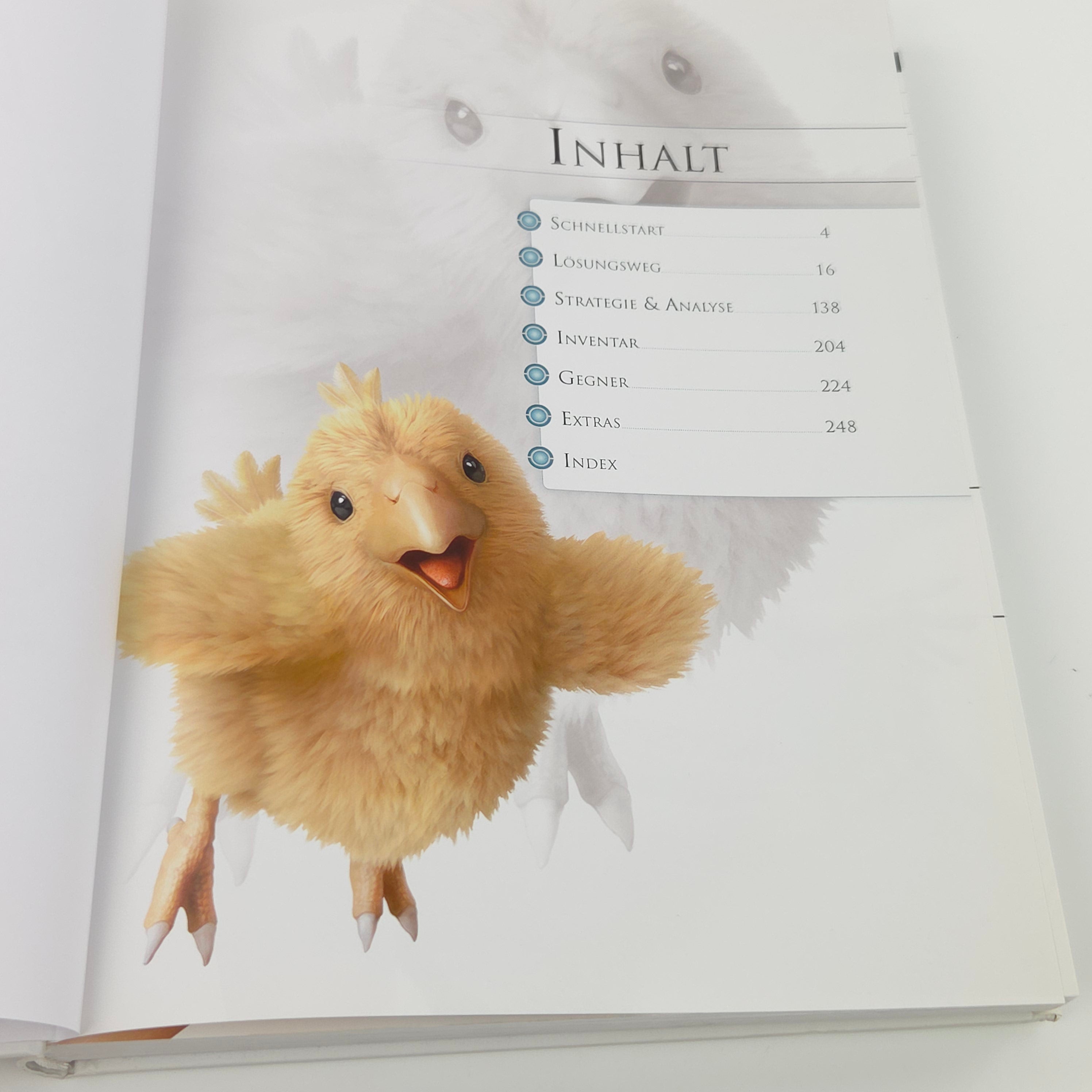 Playstation 3 Spiel – Final Fantasy XIII Spieleberater Buch