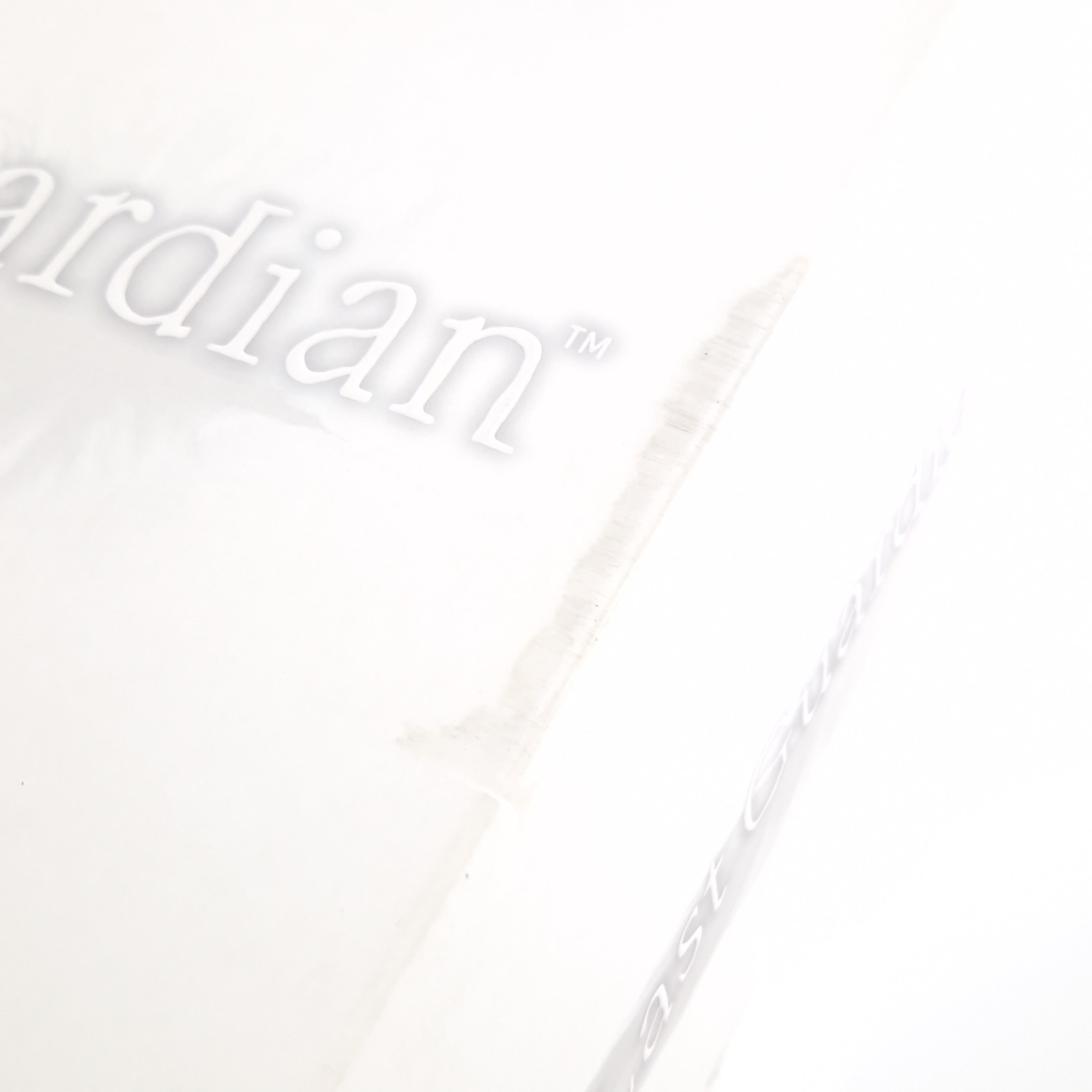 Playstation 4 Spiel – The Last Guardian Collectors Edition