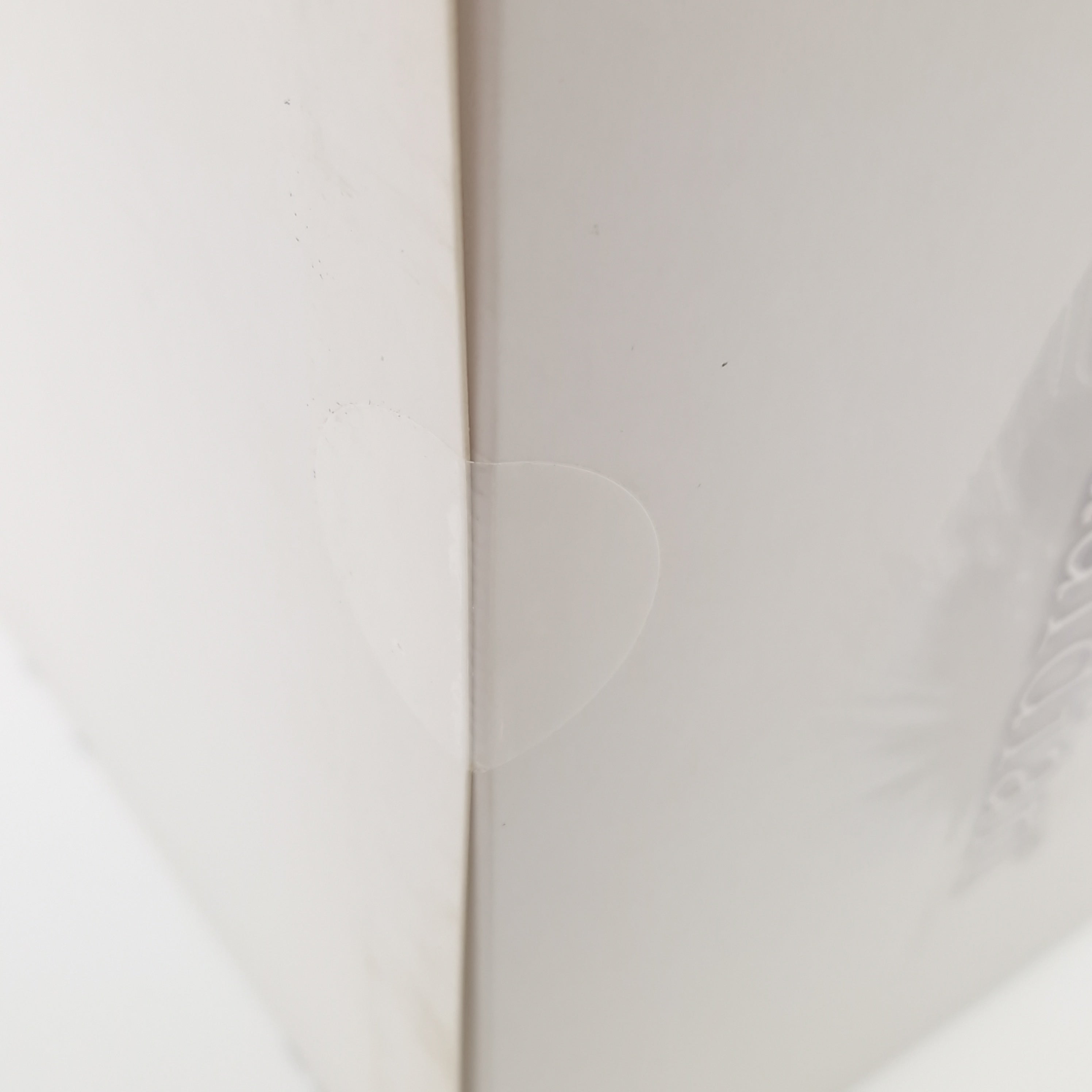 Playstation 4 Spiel – The Last Guardian Collectors Edition