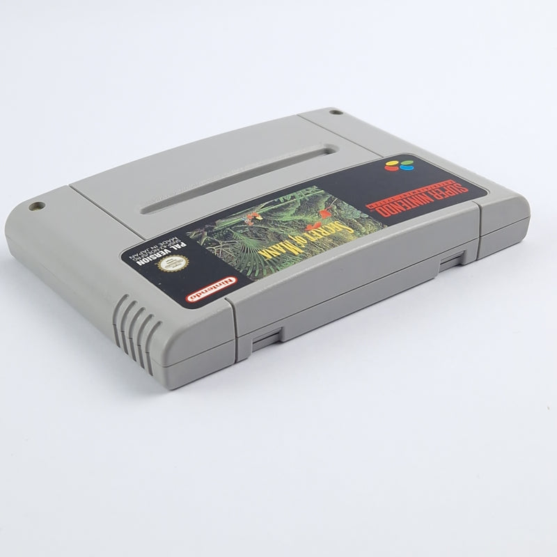 Super Nintendo SNES Game: Secret of Mana - Module / Cartridge PAL Game