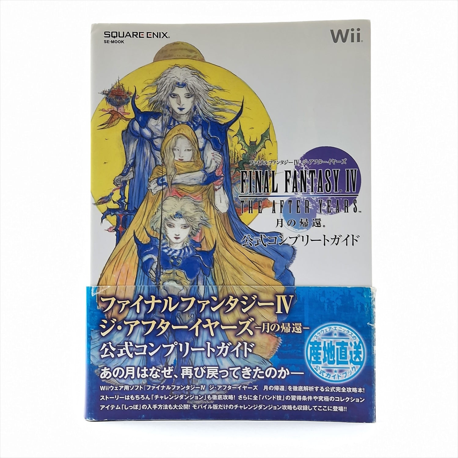 Nintendo Super Famicom Guide : Final Fantasy IV The After Years Solution Book JAP