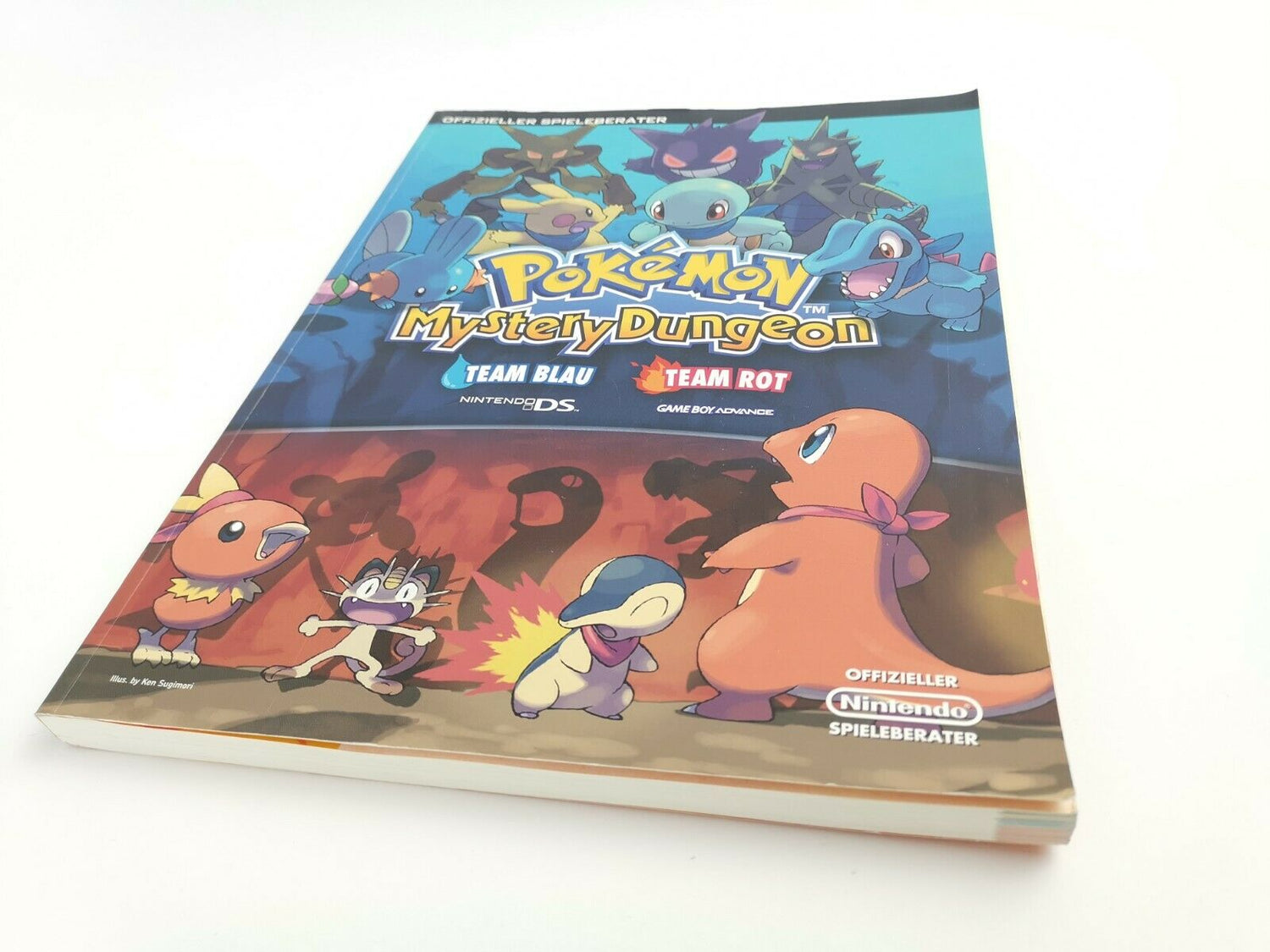 Gameboy Advance Lösungsbuch