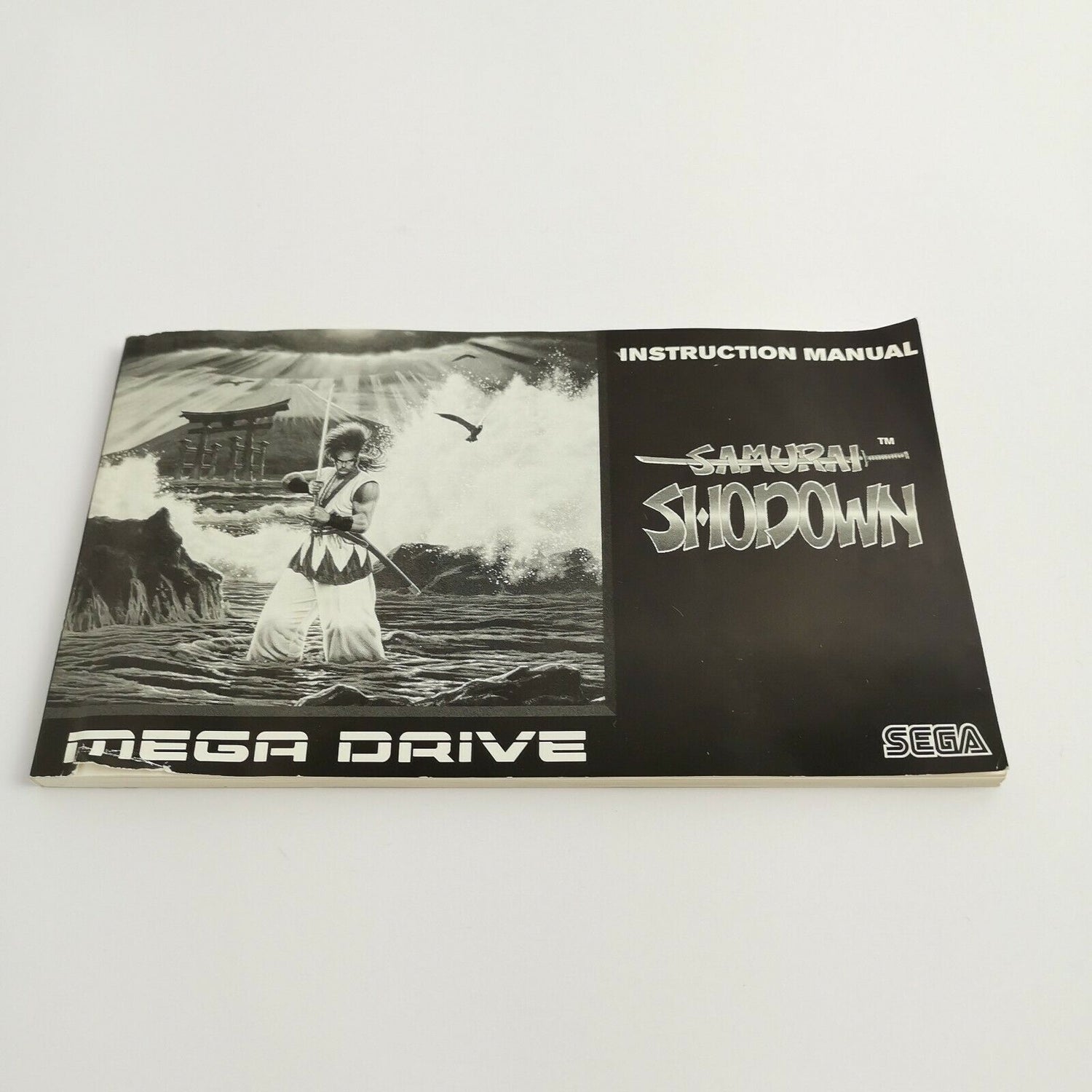 Sega Mega Drive game 