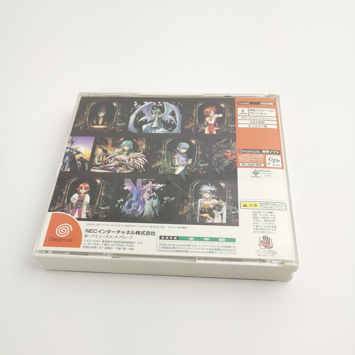 Sega Dreamcast game 