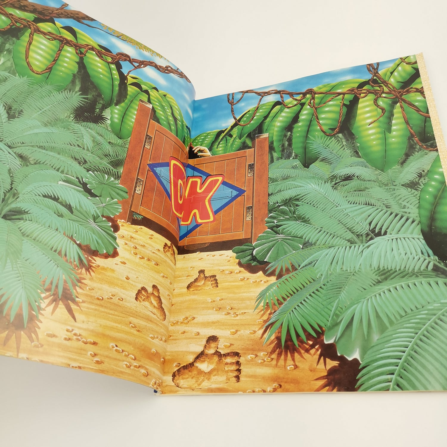 The official Super Nintendo games guide Donkey Kong Country walkthrough book