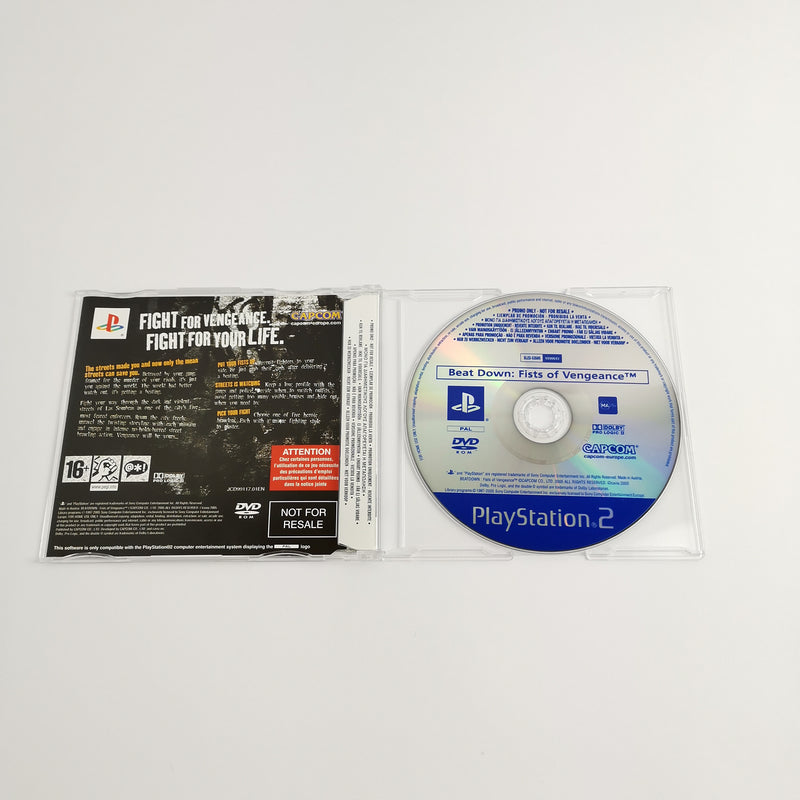 Sony Playstation 2 Promo Spiel : Beat Down Fists of Vengeance Vollversion - PS2